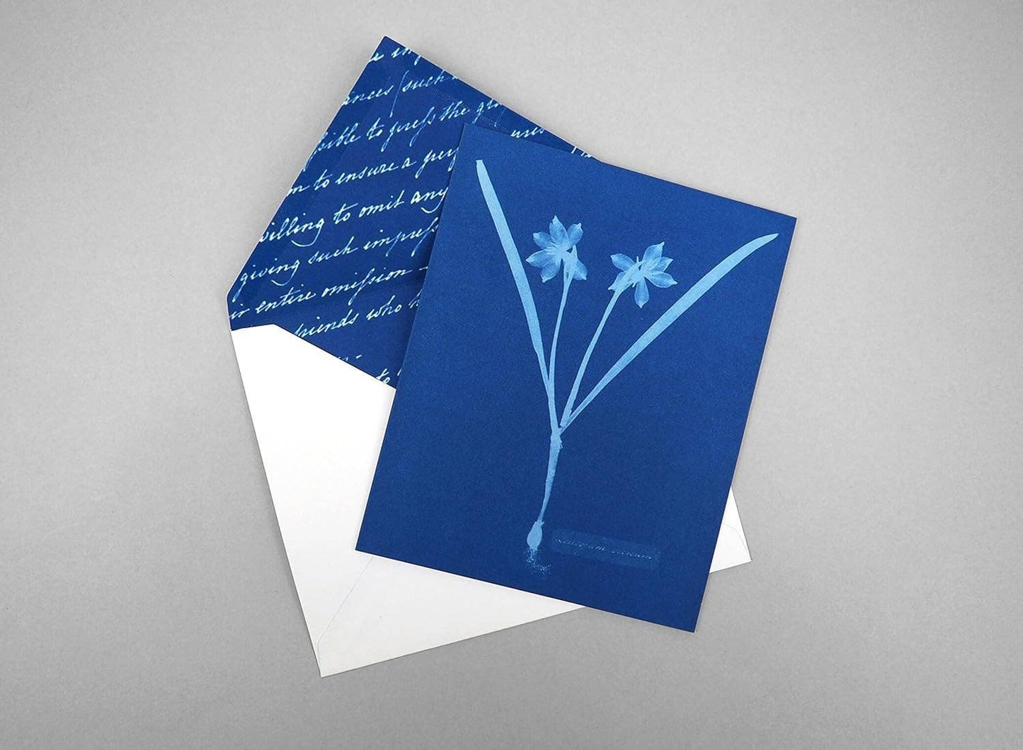 Sunprint Notecards