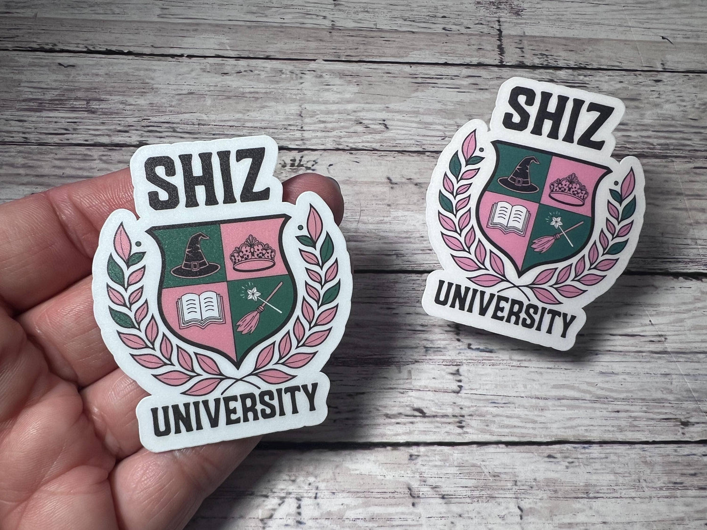 Wicked Elphaba & Glinda Inspired Sticker and Merch Set