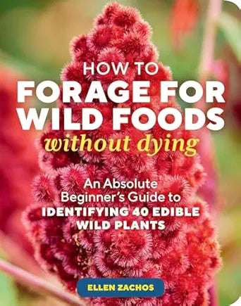 How to Forage for Wild Foods Without Dying by Ellen Zachos