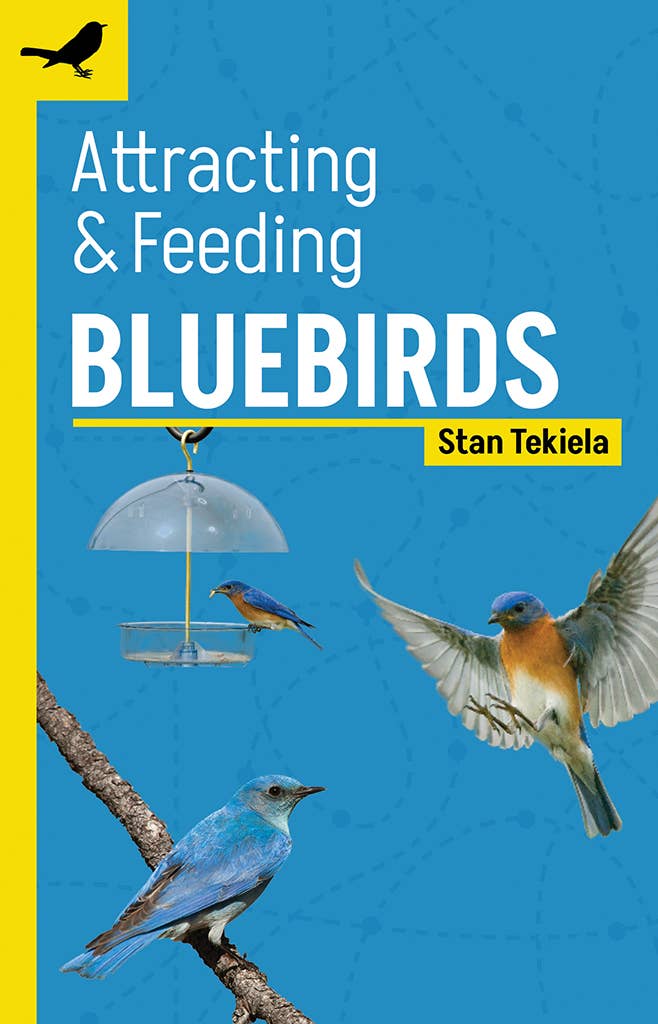 Attracting & Feeding Bluebirds (Paperback)