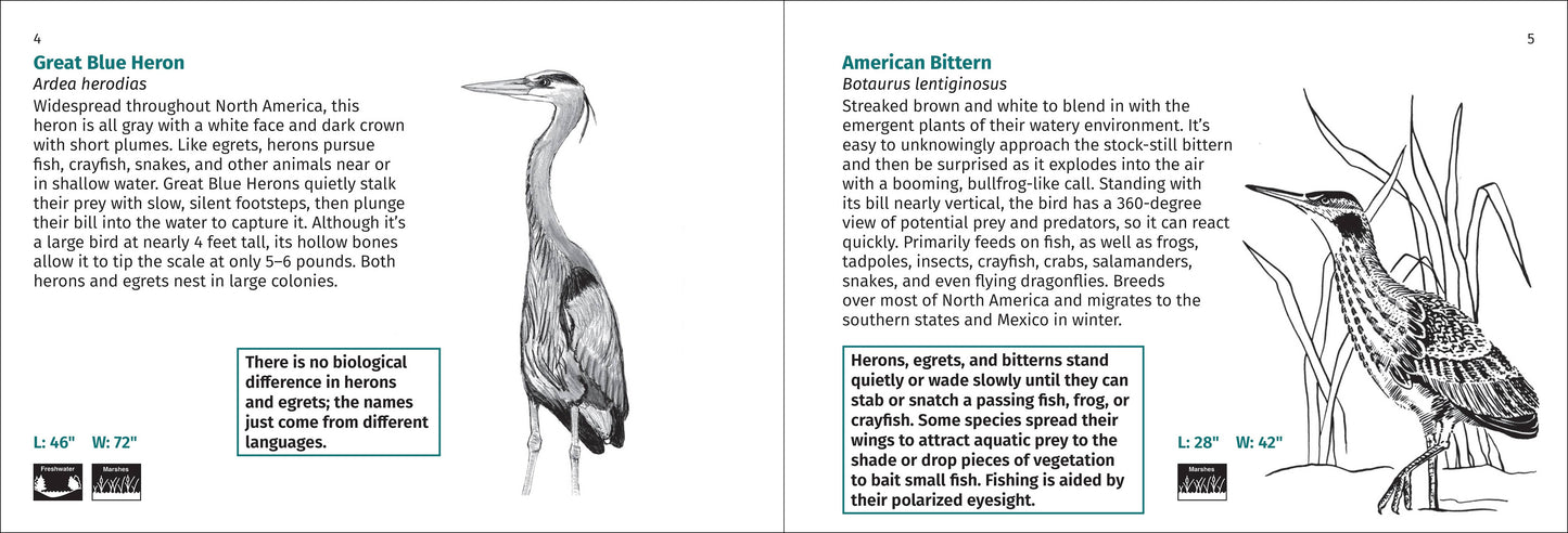 Bird Finder 2nd Edition