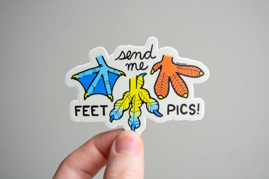 "Send Me Feet Pics" BIrd Vinyl Sticker