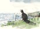 For the Love of Cats: 25 Postcards