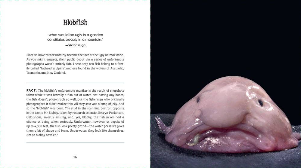 Ugly-Cute by Jennifer McCartney