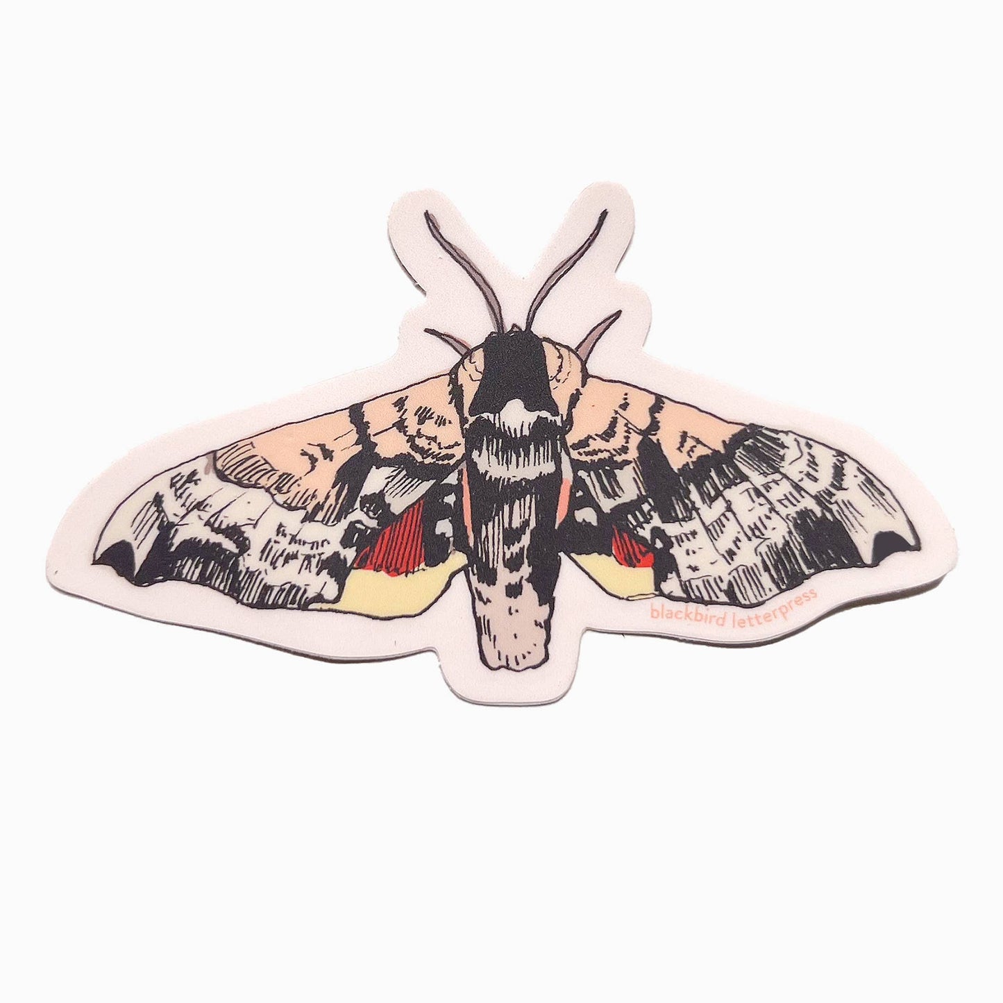 Sphinx moth sticker