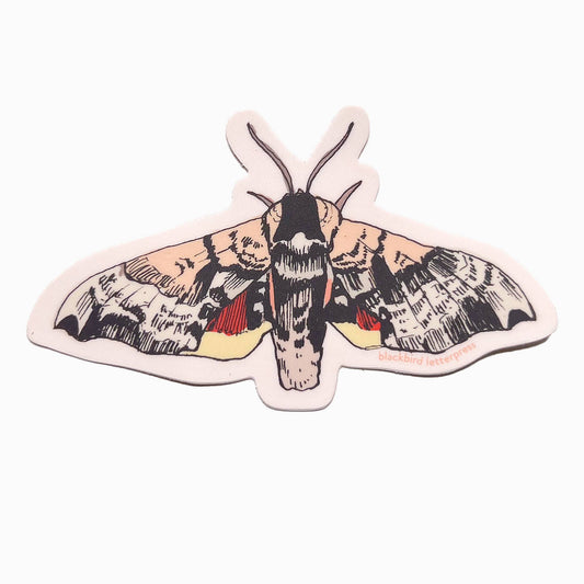 Sphinx moth sticker