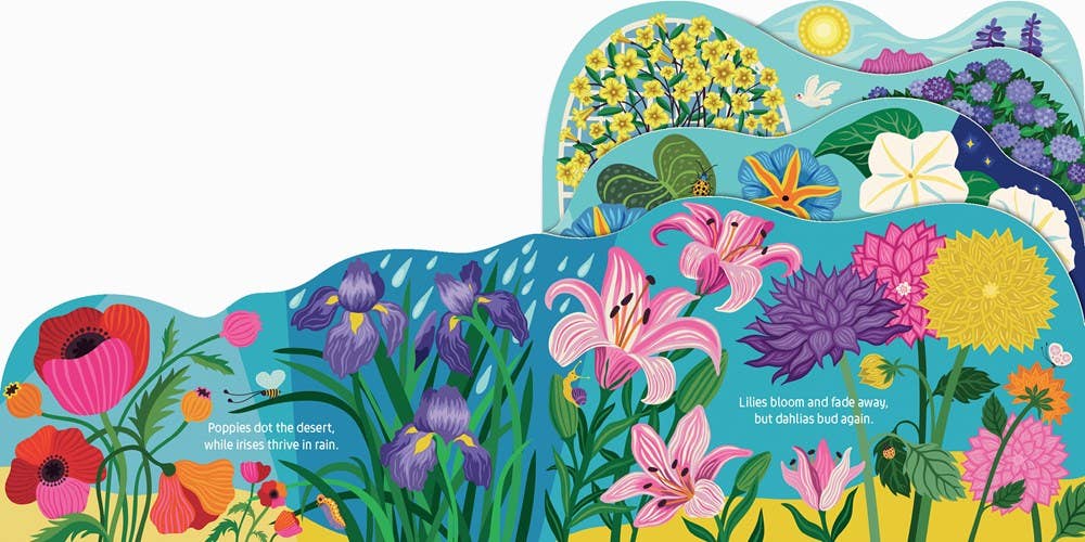 Grow Your Own Way: Flower Board Book by Helen Dardik