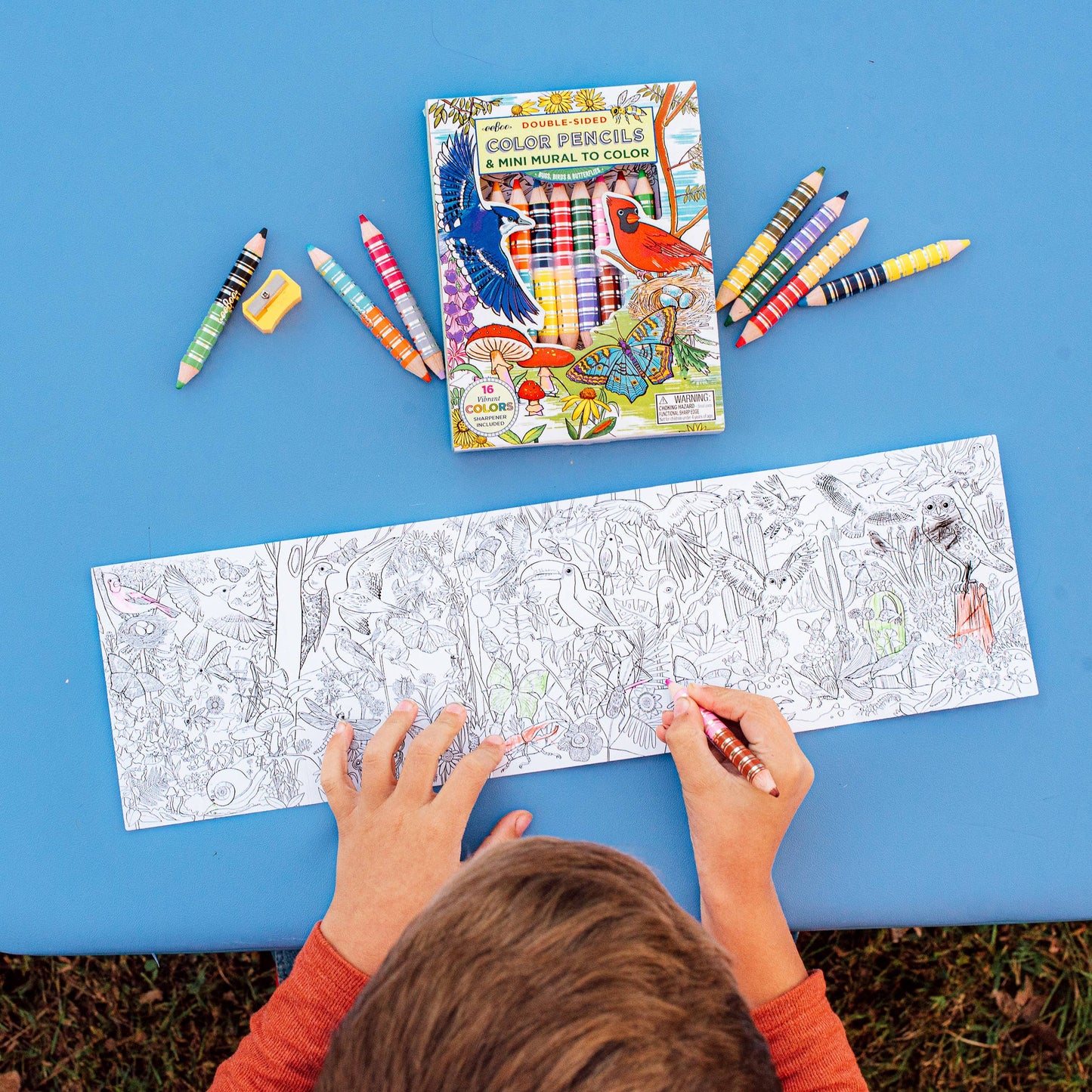 Bird & Butterfly 8 Biggie Pencils with Mini Mural Bundle