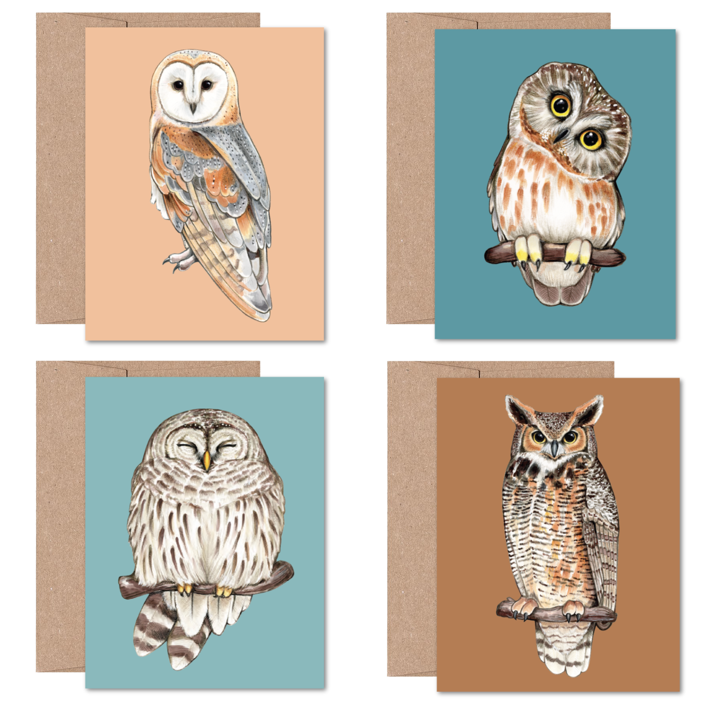 North American Owls Boxed Card Set (8 Cards)
