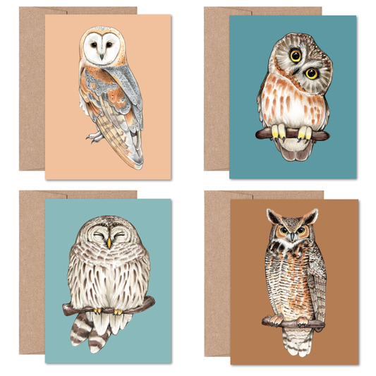 North American Owls Boxed Card Set (8 Cards)