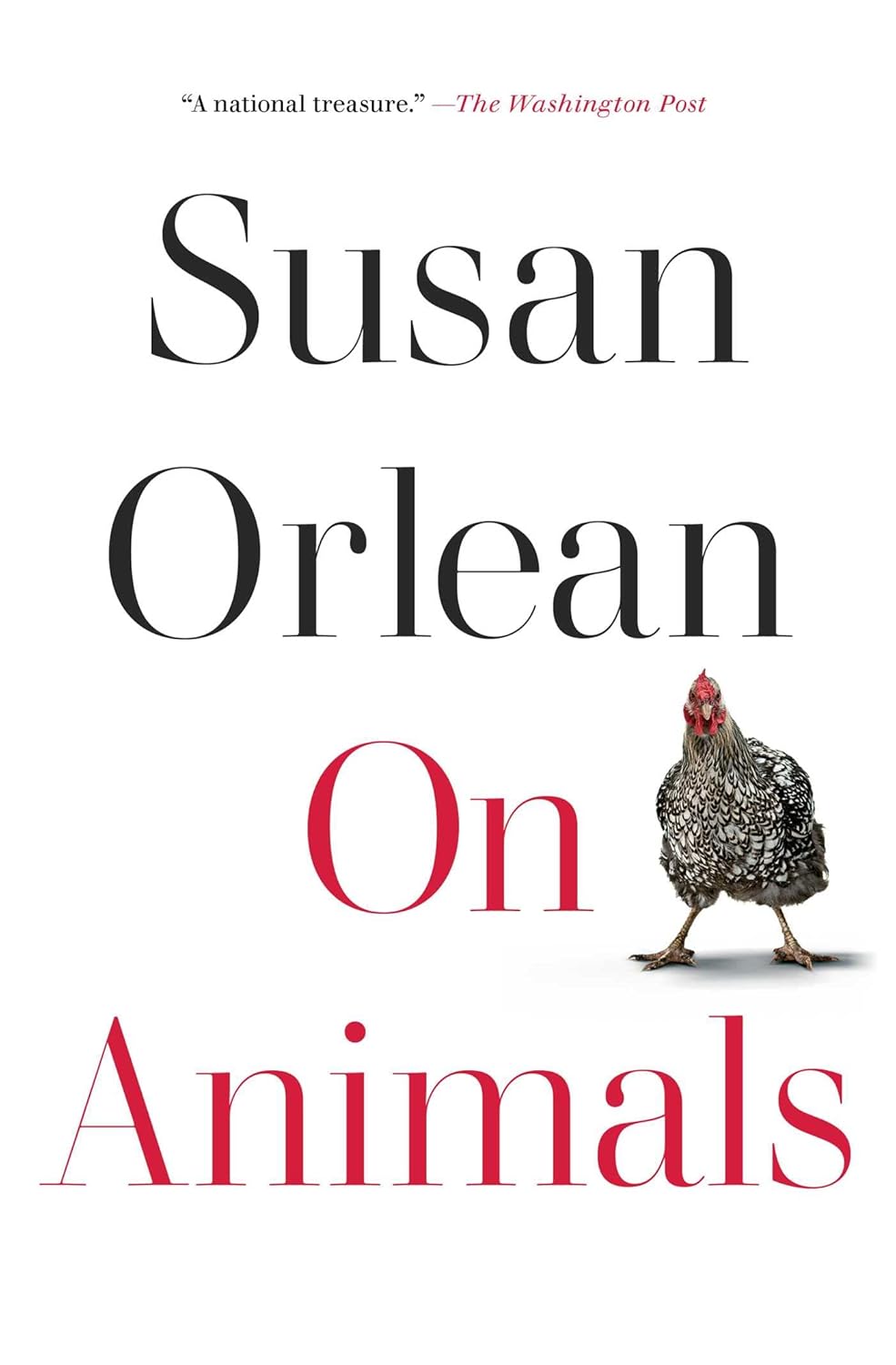 On Animals by Susan Orlean (Paperback)