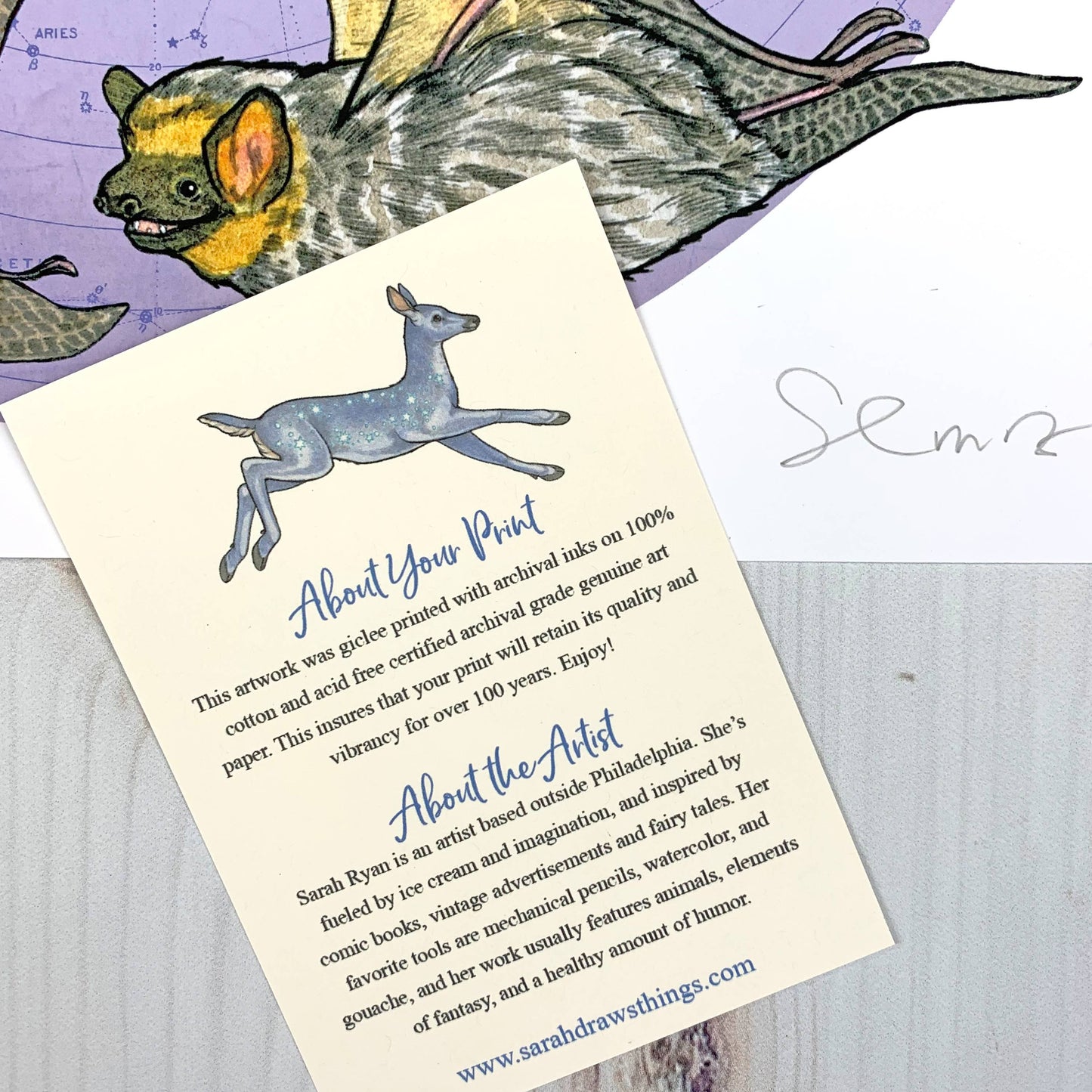 Starry Bats - North American Native Bats - Archival Print