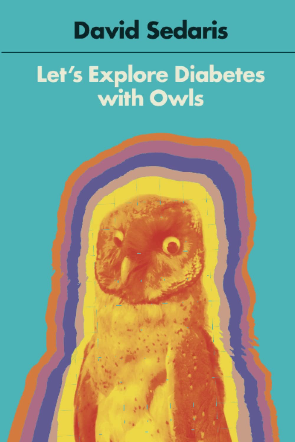 Let's Explore Diabetes with Owls by David Sedaris (Paperback)