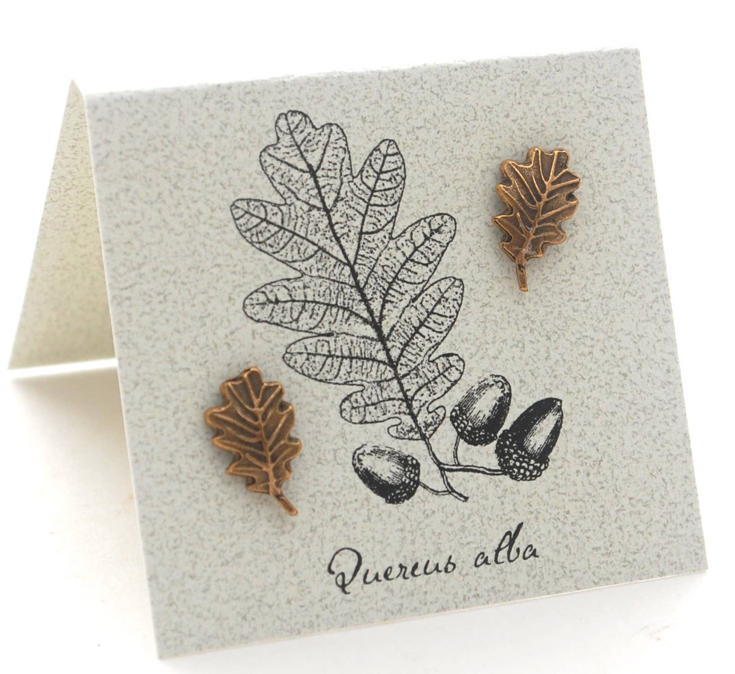 Oak Leaf Stud Earrings - gold Natural History