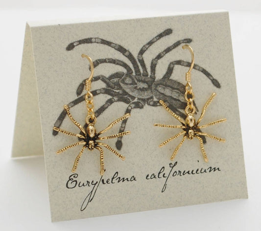 Spider Earrings - gold  Natural History