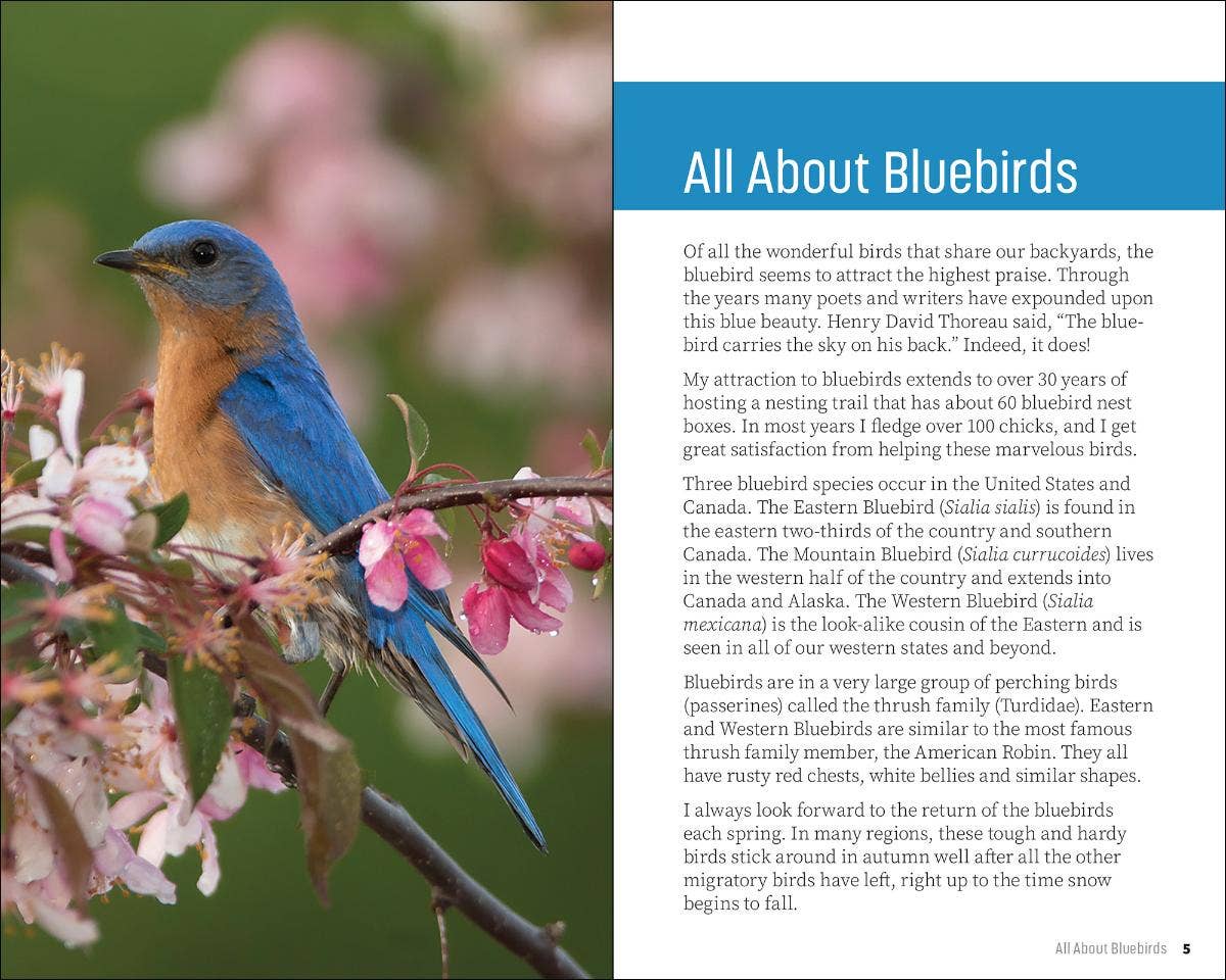 Attracting & Feeding Bluebirds (Paperback)