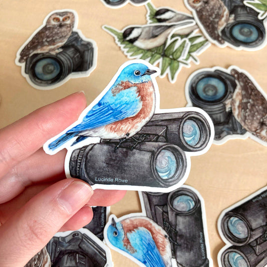 Vinyl Sticker - Eastern Bluebird On Binoculars