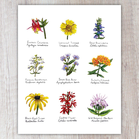 Native Pollinator Plants A2 Card