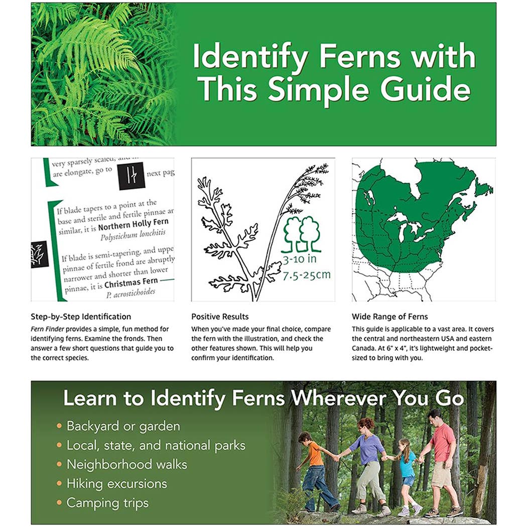Fern Finder Eastern 3rd Edition