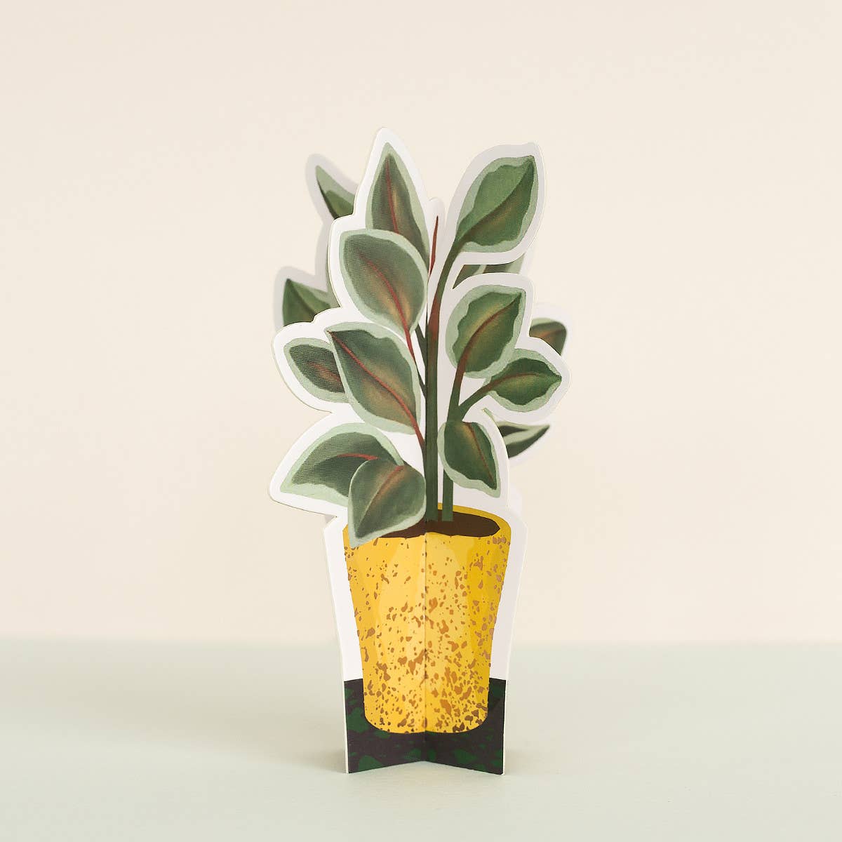 Rubber Plant Fold-Out Card