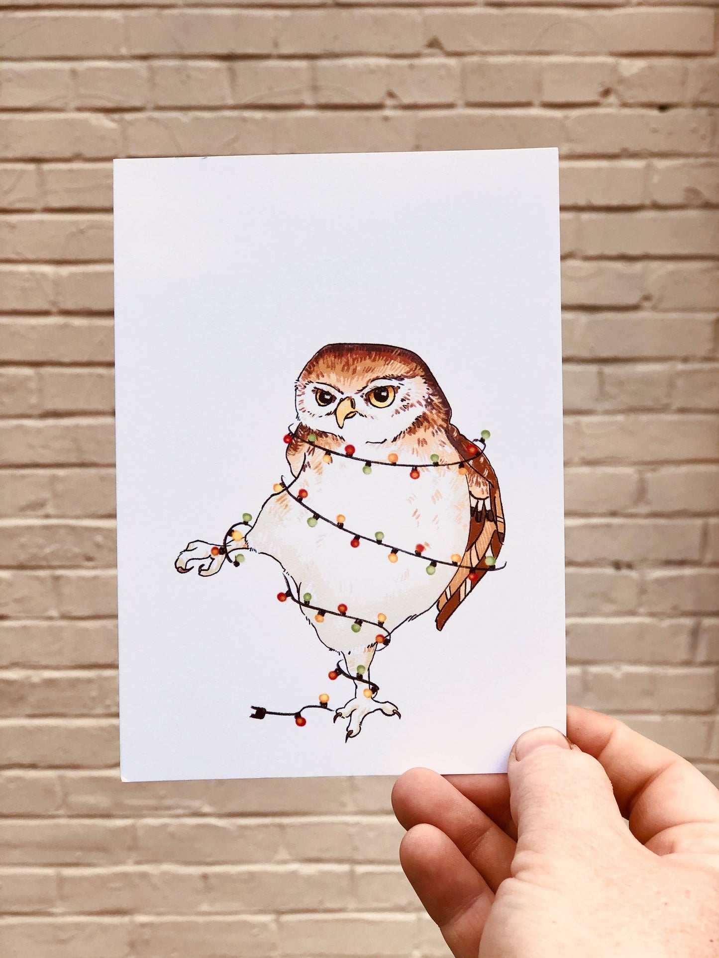 Christmas owl cards