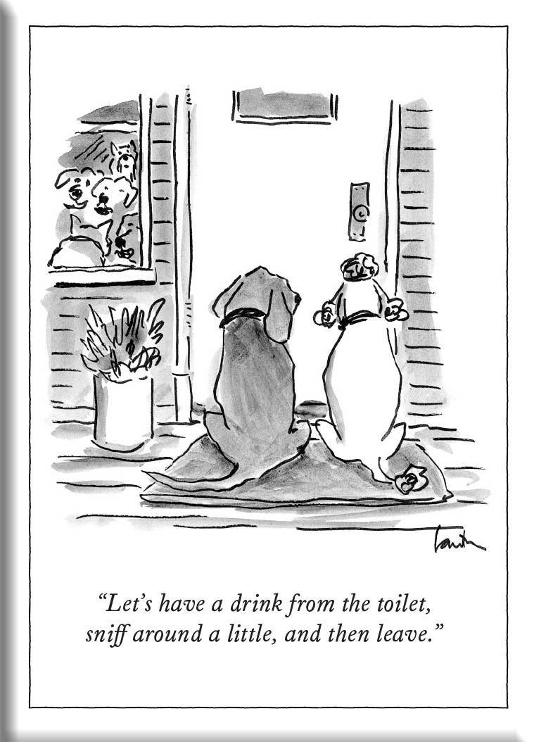 DRINK, SNIFF AND LEAVE - NY'er HARD MAGNET