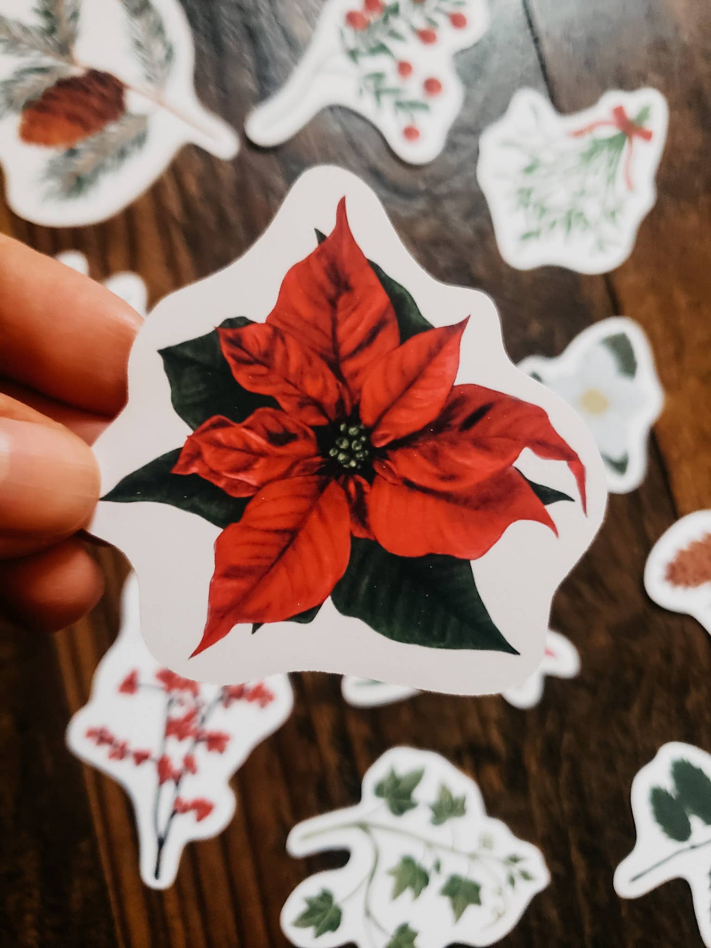 Christmas Plants Sticker Pack, Set of 12 Stickers