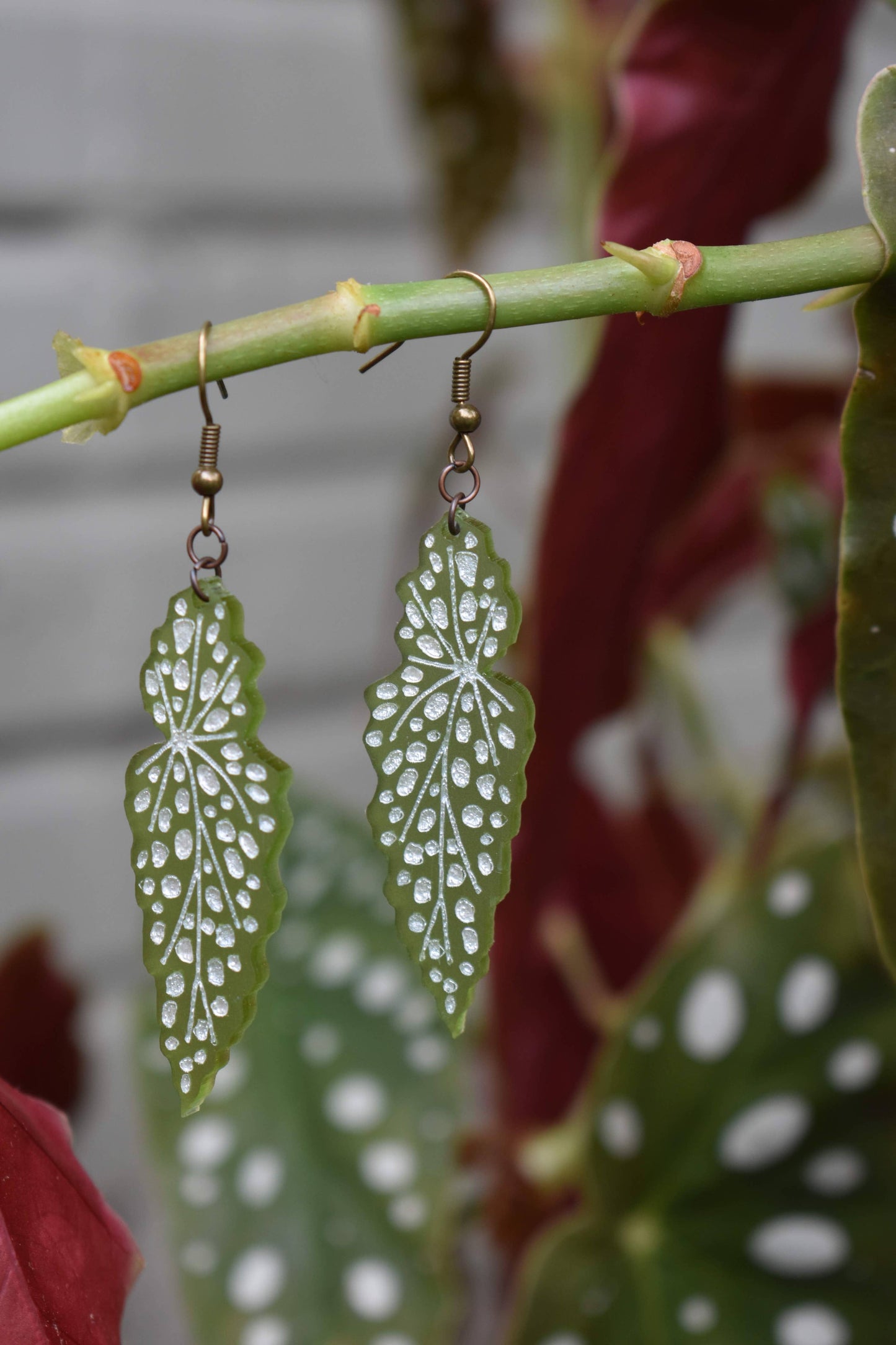 Polka Dot Begonia Earrings