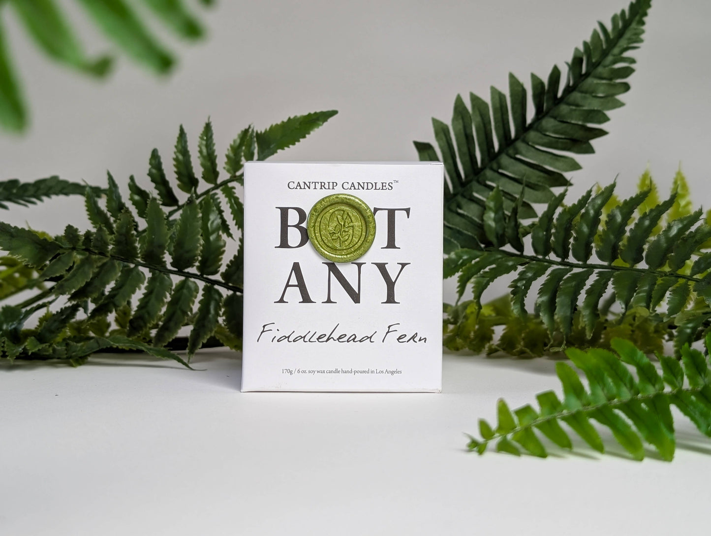 Botany ~ Fiddlehead Fern