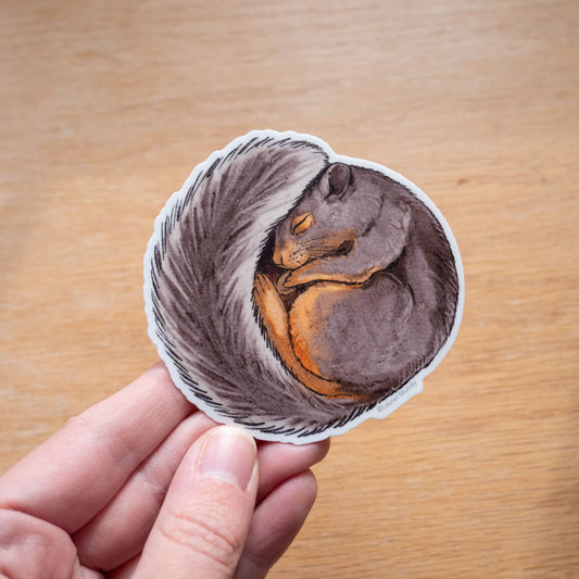 Sleepy Squirrel 3" Vinyl Sticker dishwasher safe