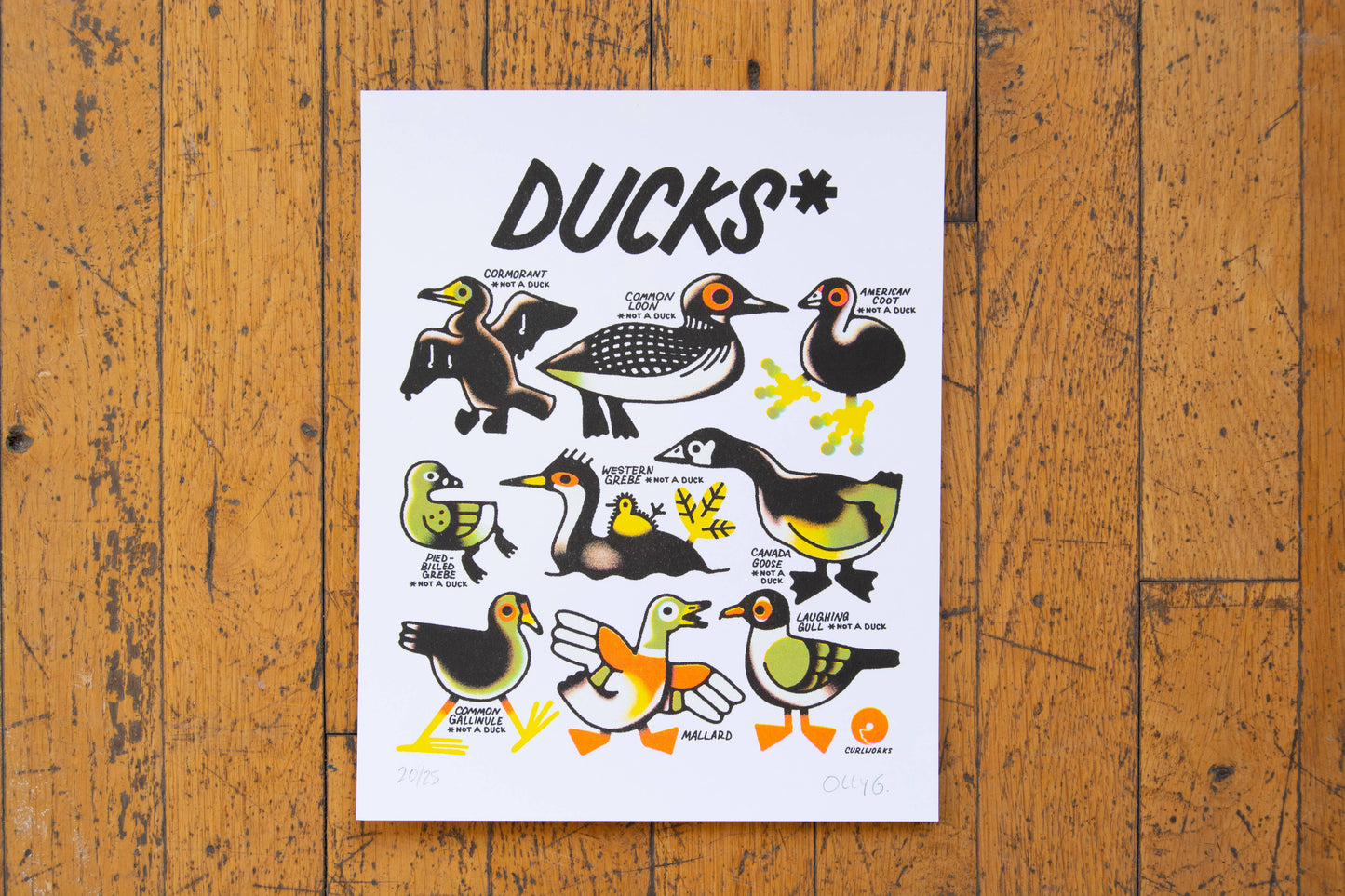 Ducks (not a duck) - 8x10" Risograph Print