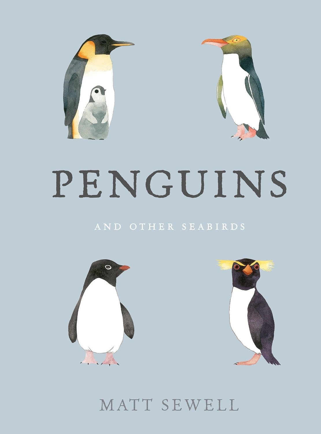 Penguins by Matt Sewell (Hardcover)