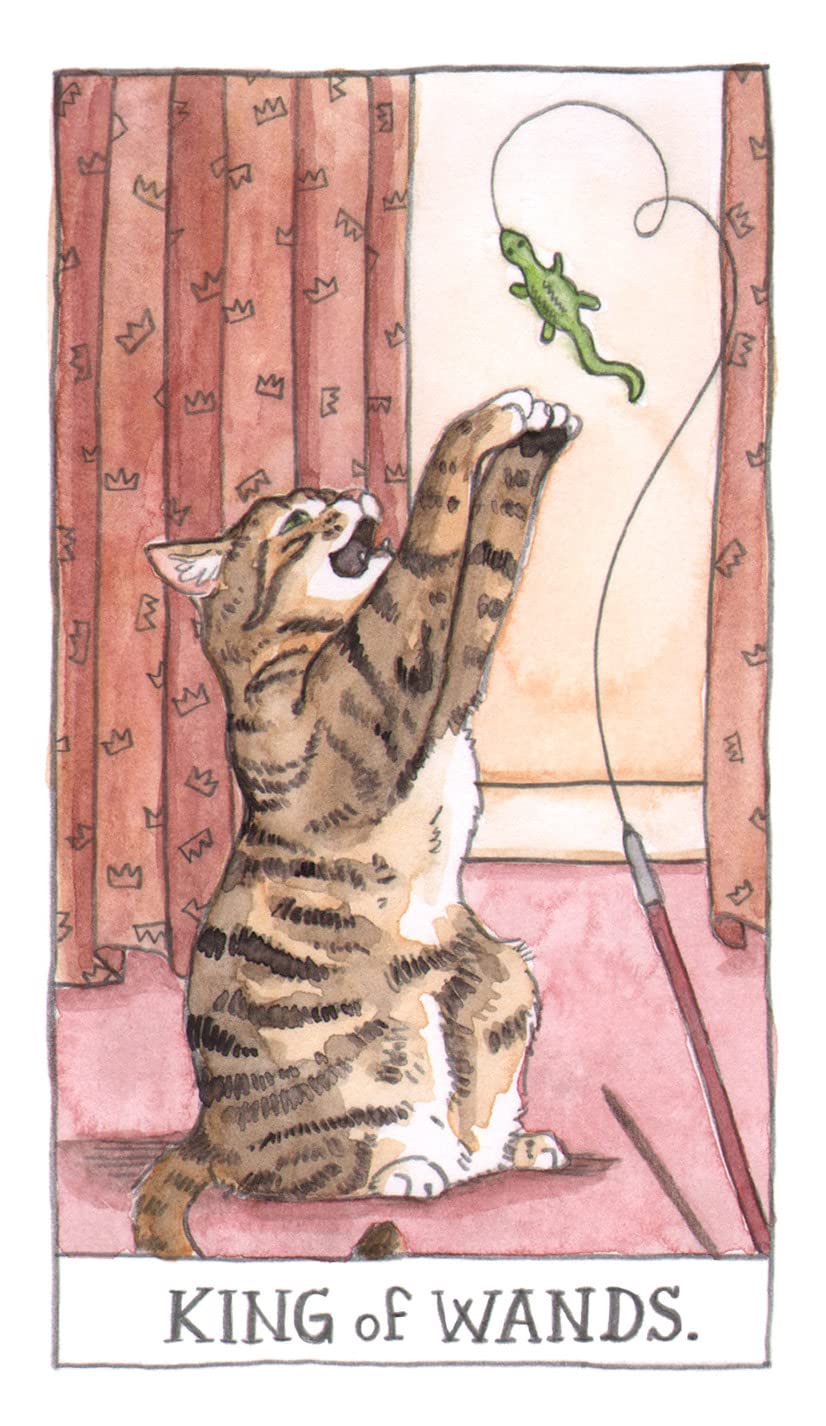 Cat Tarot: 78 Cards and Guidebook by Megan Lynn Kott