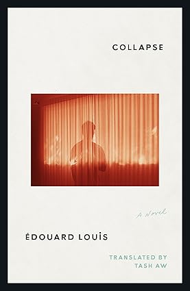 Collapse by Edouard Louis