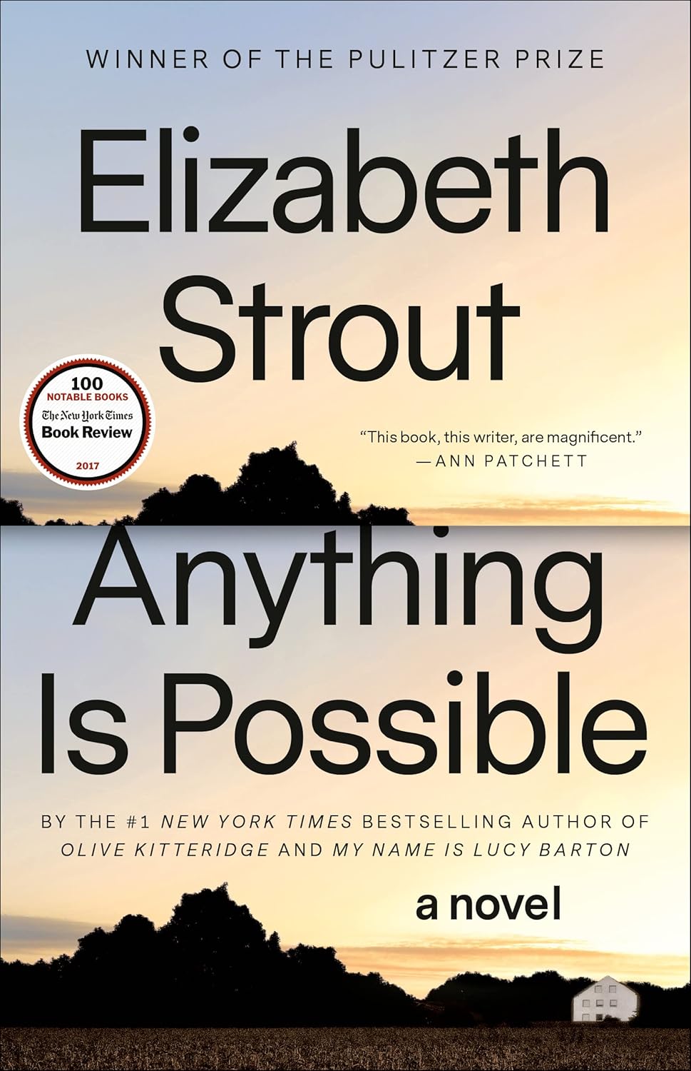 Anything is Possible by Elizabeth Strout