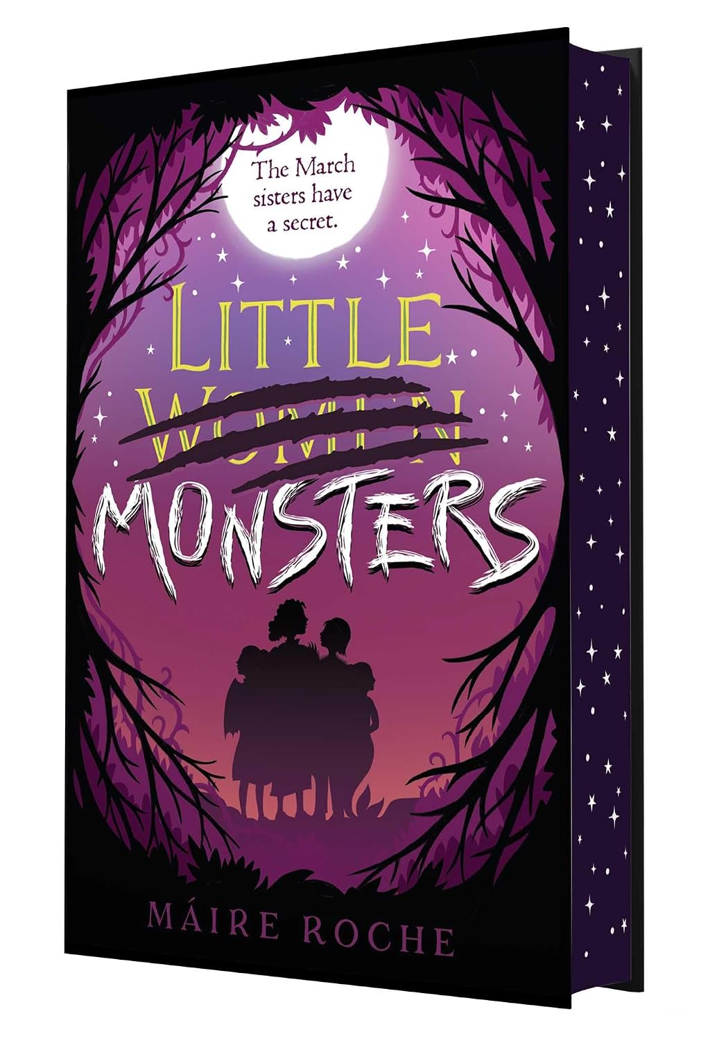 Little Monsters by Máire Roche