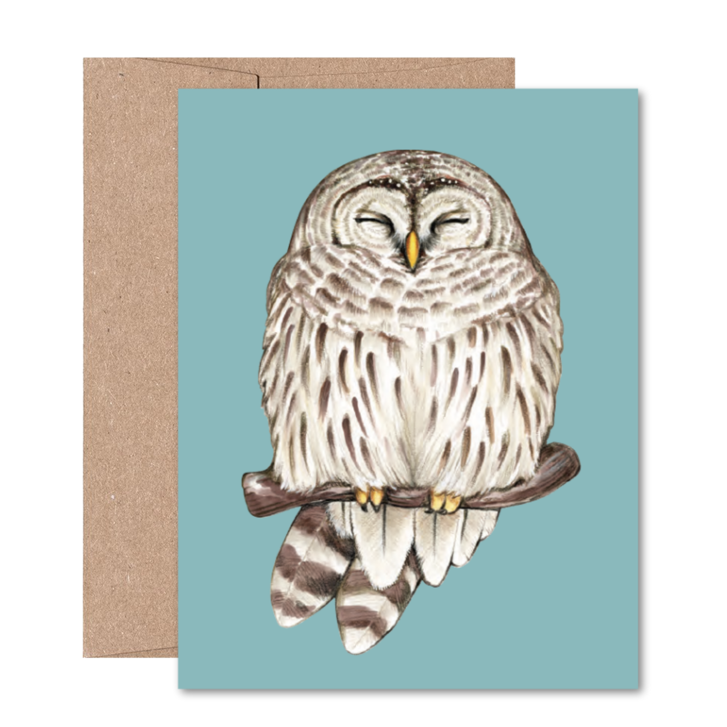 North American Owls Boxed Card Set (8 Cards)