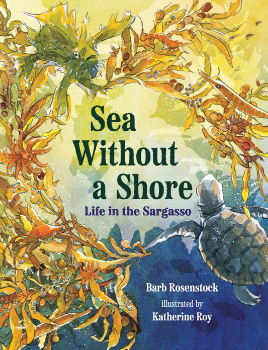Sea Without A Shore by Barb Rosenstock; Illustrated by Katherine Roy
