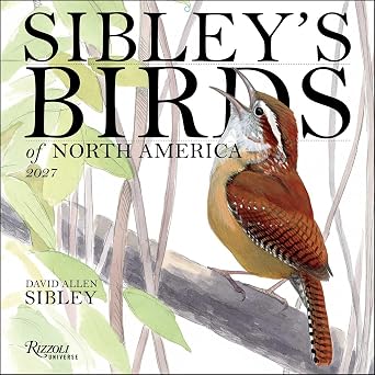 Sibley's Birds of America 2027 Wall Calendar by David Allen Sibley