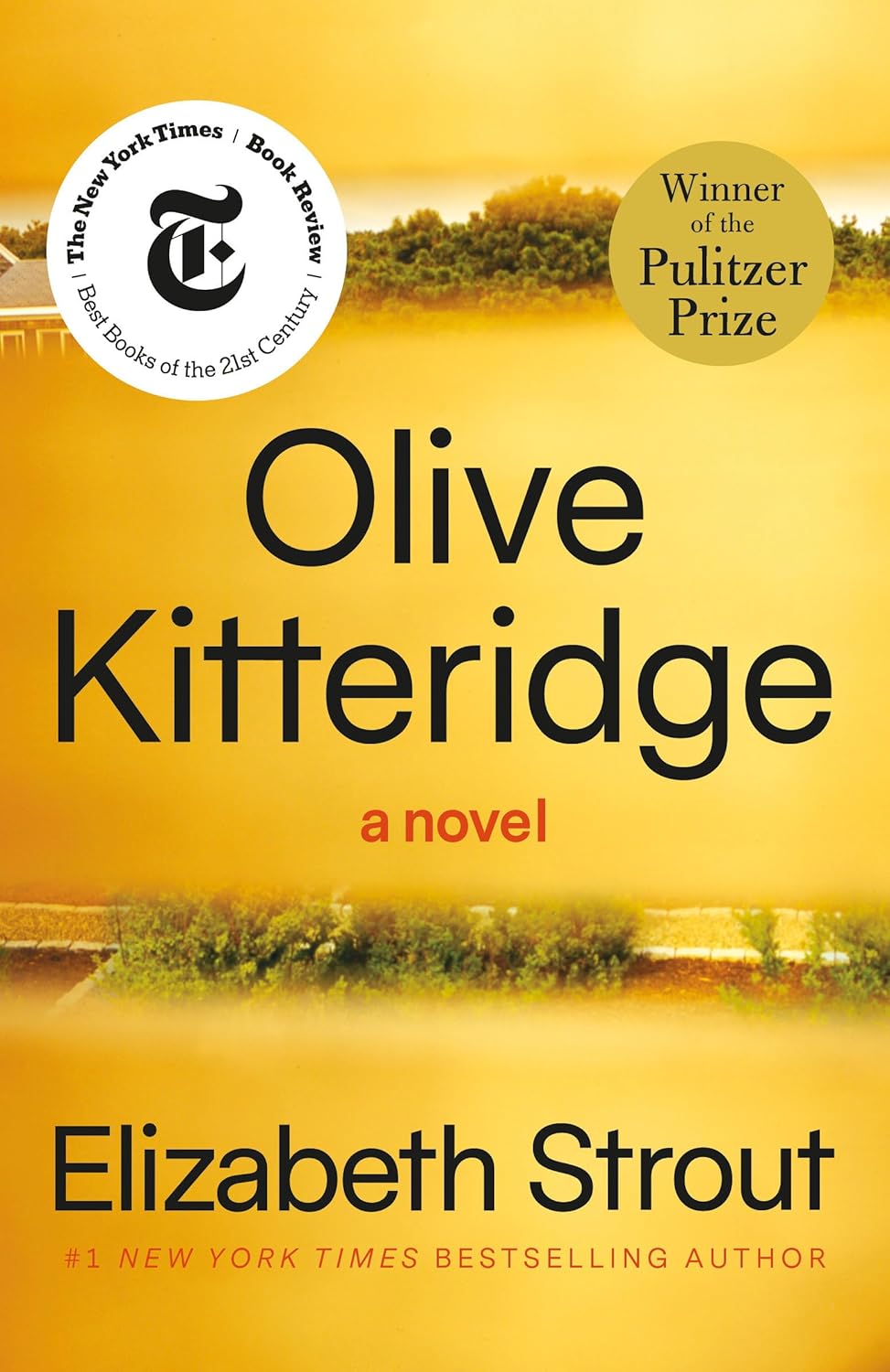 Olive Kitteridge by Elizabeth Strout (Paperback)