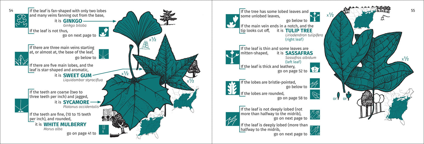 Tree Finder Eastern 3rd Edition