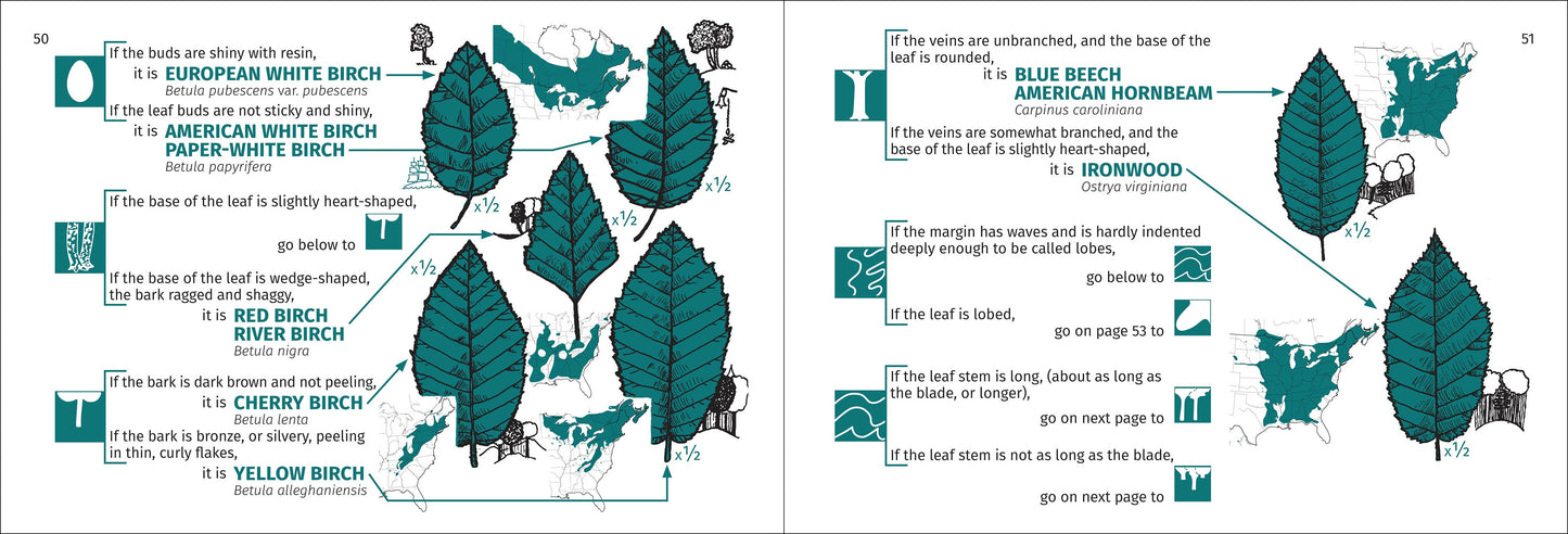 Tree Finder Eastern 3rd Edition