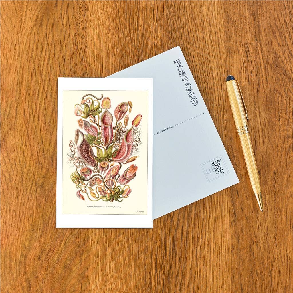 Postcard SE-106 Carnivorous Plants