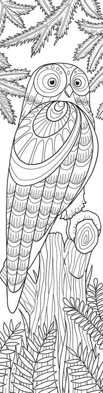 Animals Coloring Bookmarks by Rockpool  Publishing
