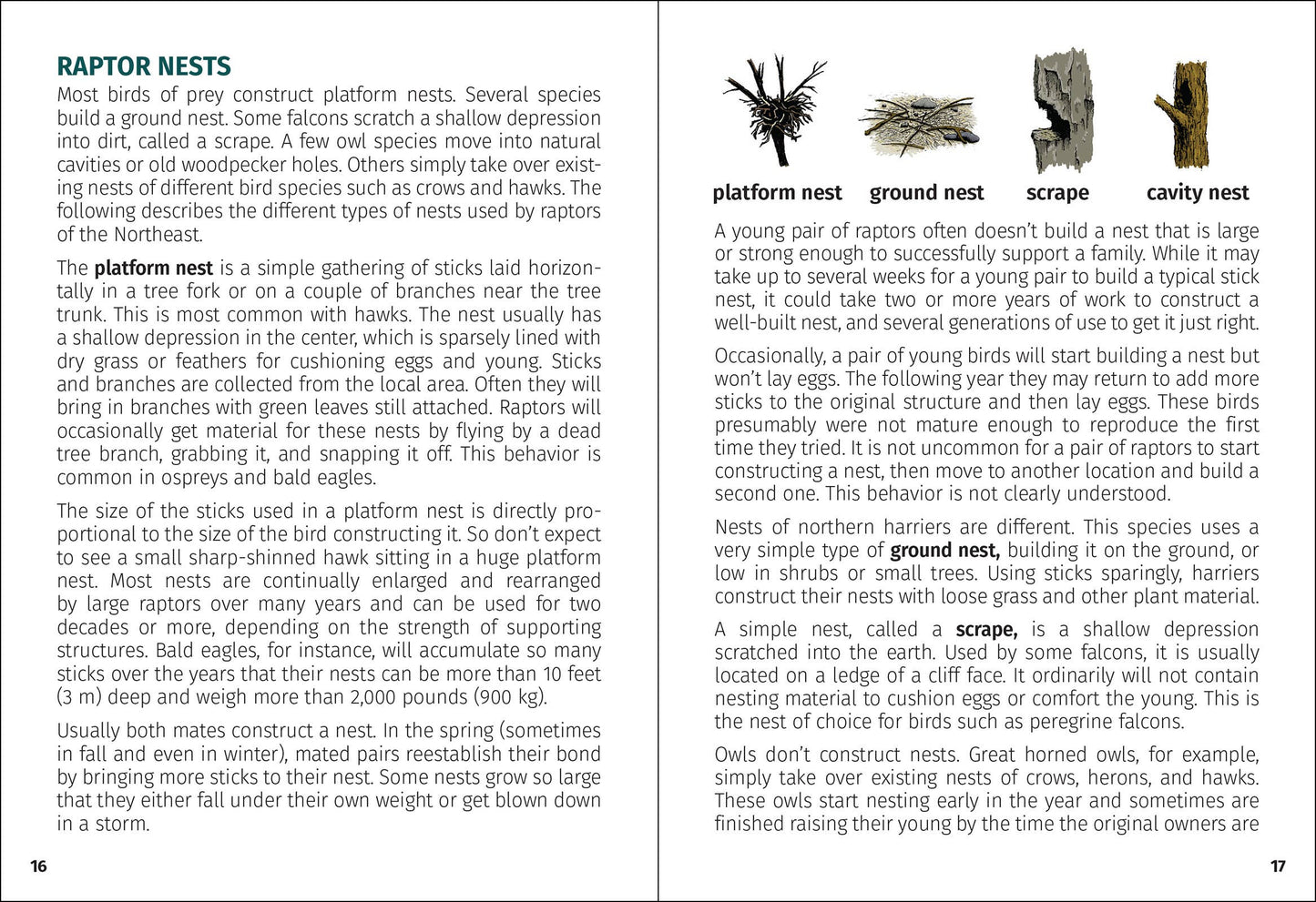 Birds of Prey of the Northeast Field Guide 2nd Edition