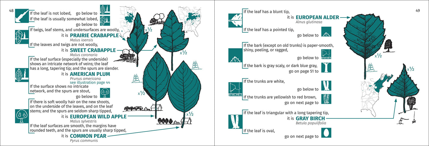 Tree Finder Eastern 3rd Edition