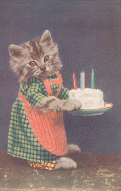 Postcard KC-134 Dressed Kitten with Birthday Cake