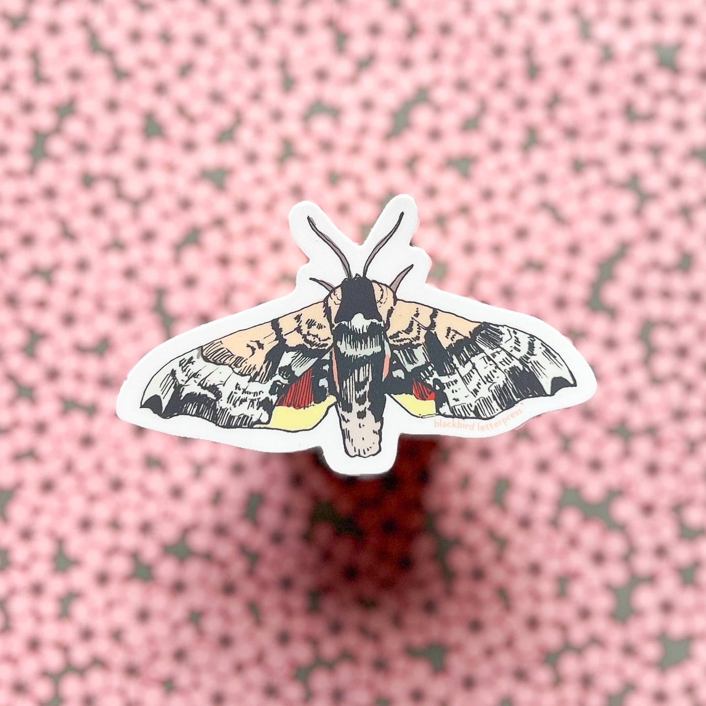 Sphinx moth sticker
