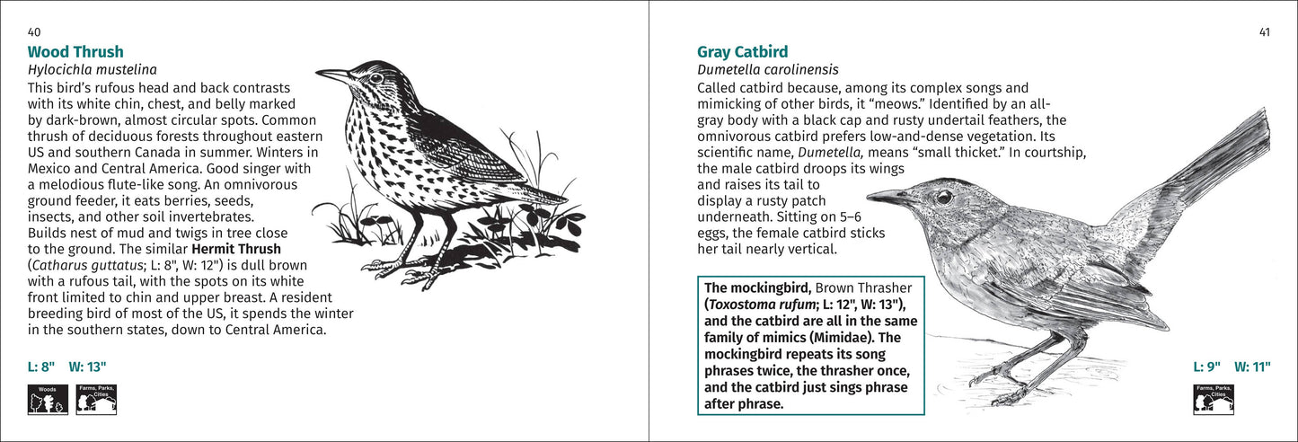Bird Finder 2nd Edition