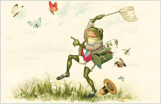 Postcard IS-48 Frog Lepidopterist